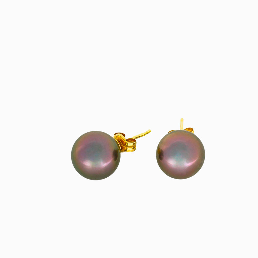 Tahitian pearl earrings - 14k yellow gold studs