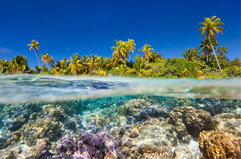 Lagoon preservation