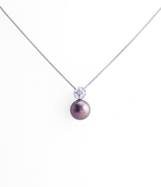 Pendentif perle de Tahiti en argent - Tahiti Pearl Market