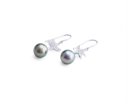 Tahitian pearls earrings in silver - Starfish