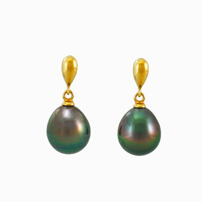 Tahitian pearl earrings in gold plated - Timeless Elegance