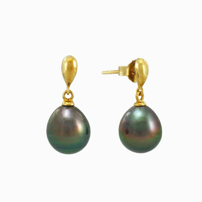 Tahitian pearl earrings in gold plated - Timeless Elegance