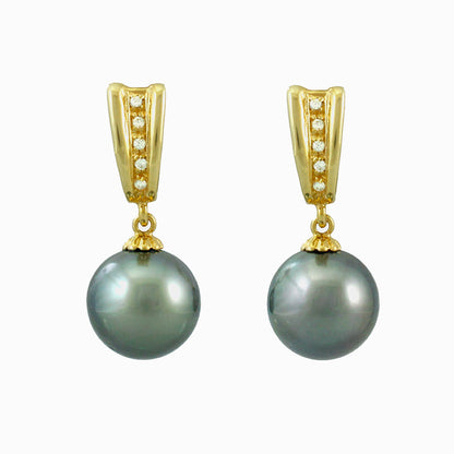 Tahitian pearl earrings in gold plated - Timeless Elegance