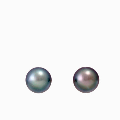 Tahitian pearl earrings - 14k yellow gold studs