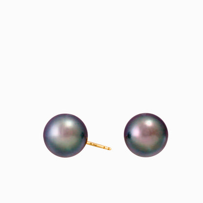 Tahitian pearl earrings - 14k yellow gold studs