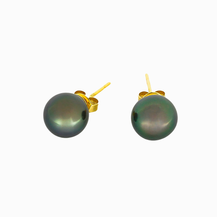 Tahitian pearl earrings - 18k yellow gold studs