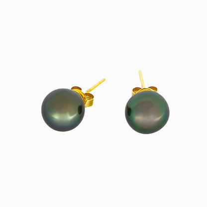 Tahitian pearl earrings - 18k yellow gold studs
