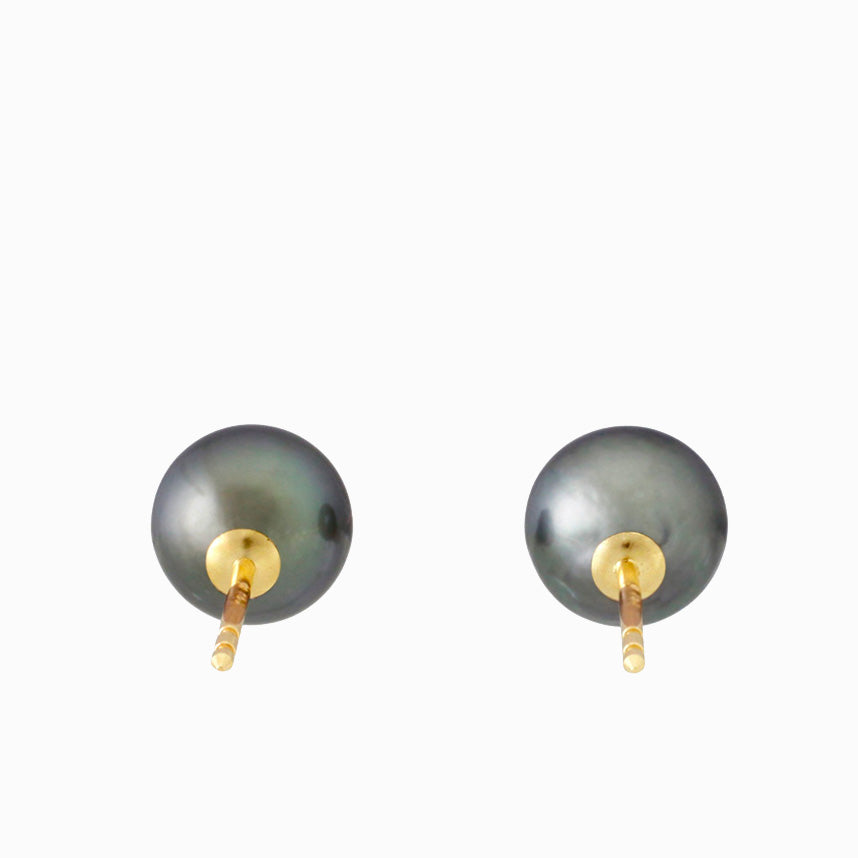 Tahitian pearl earrings - 18k yellow gold studs