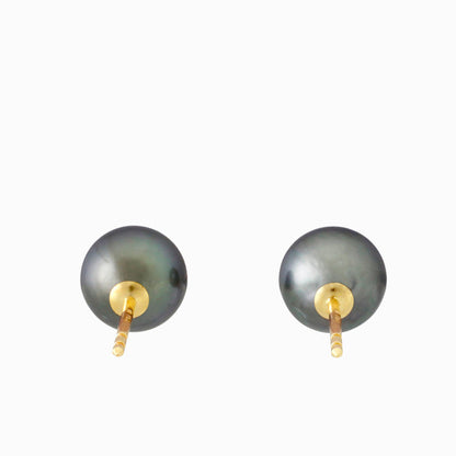 Tahitian pearl earrings - 18k yellow gold studs