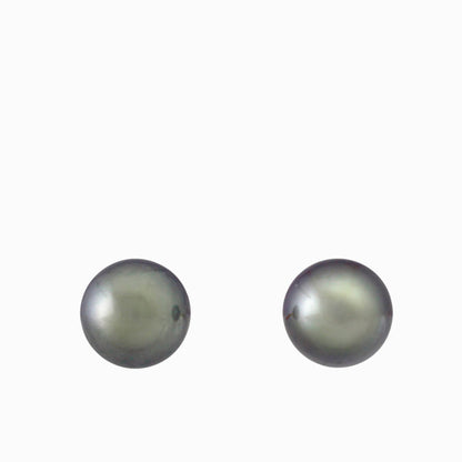 Tahitian pearl earrings - 18k yellow gold studs