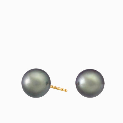 Tahitian pearl earrings - 18k yellow gold studs