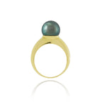 Tahitian pearl ring - 18k gold classic design - RGYGPE00021