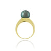 Tahitian pearl ring - 18k gold classic design - RGYGPE00021