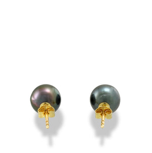 Pendientes de perlas de Tahití - 18k pernos de oro amarillo - EAYGPE00240