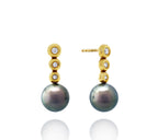 Tahitian pearl earrings 18k yellow gold with diamond - Circle of Life - EAYDPE00092