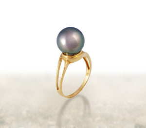 Tahitian pearl ring - 18k white gold - RGYGPE00022