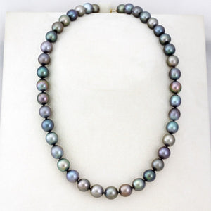 Fil de perles de Tahiti - Fermoir 18K en or jaune - NEYGPE01050